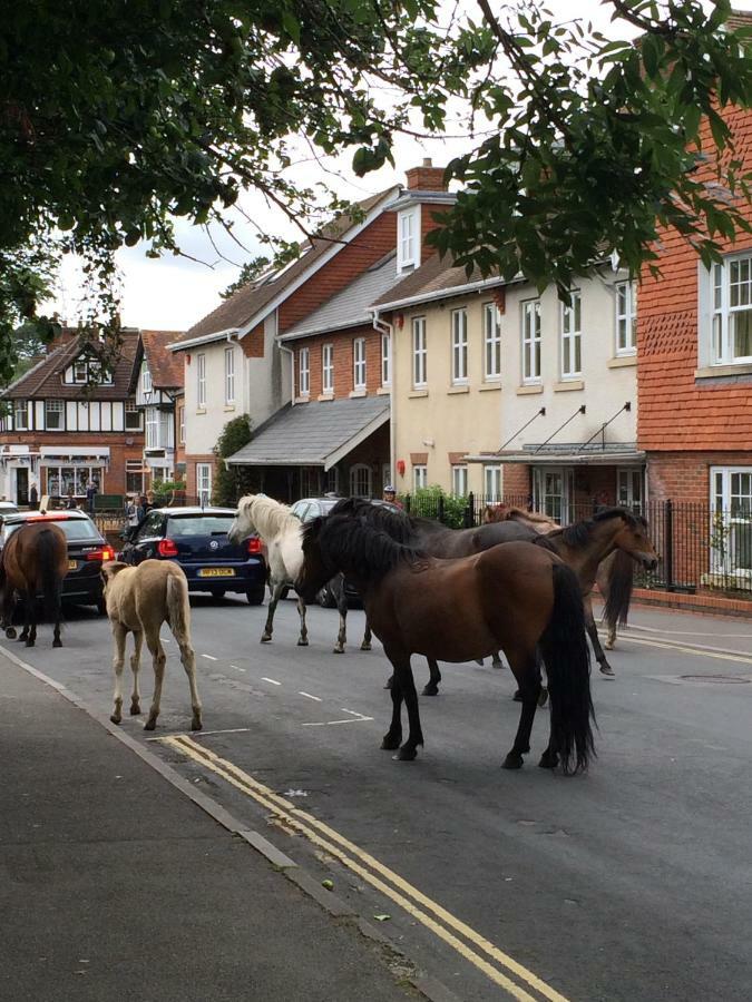 Brockenhurst Apartments Dış mekan fotoğraf